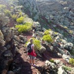 Wandern