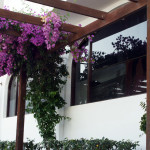 shakti-yoga Studio